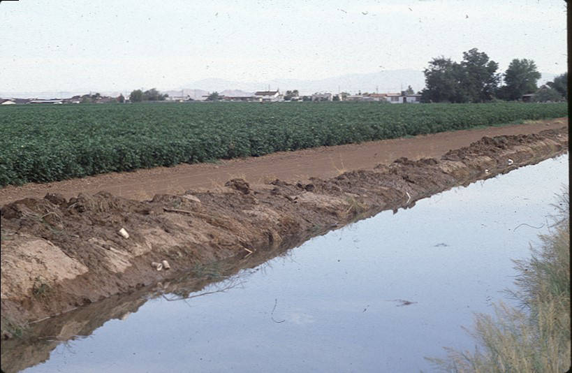 Ditch at the Sahuaro Ranch, Future Site of GCC