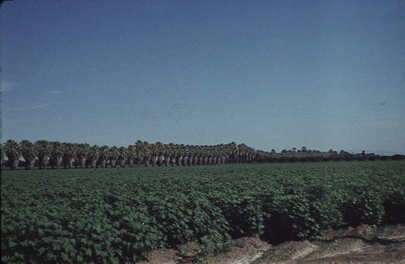 Image of the Farmland Upon Which GCC Was Built