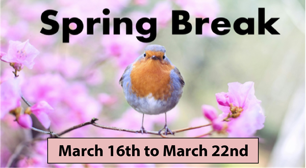 Picture of a colorful bird basking in Spring glory