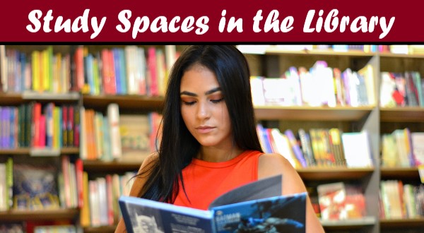 Study Spaces in the Library